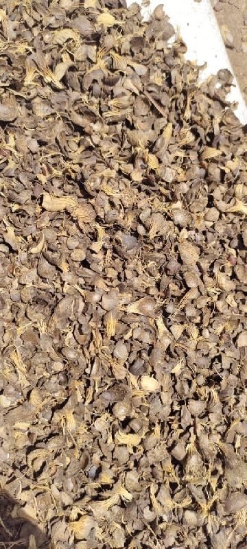 Palm Kernel Shell, for Solid Fuels, Packaging Type : Pp Bag, Loose