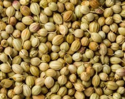 coriander seeds