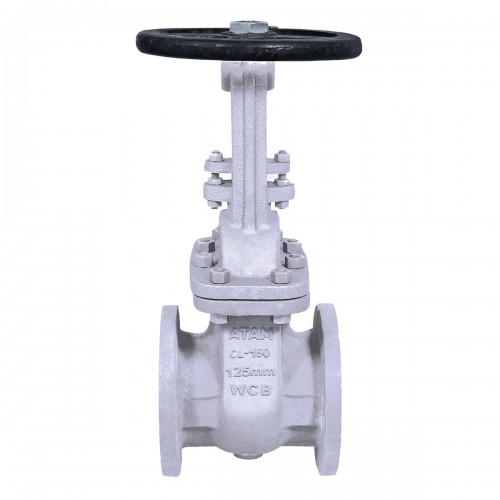 AV-288 (CF8) C.S.S. Gate Valve