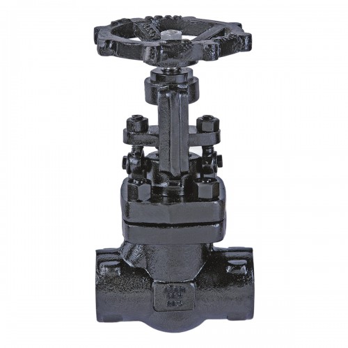 AV-303 F.C.S. (A105) Globe Valve