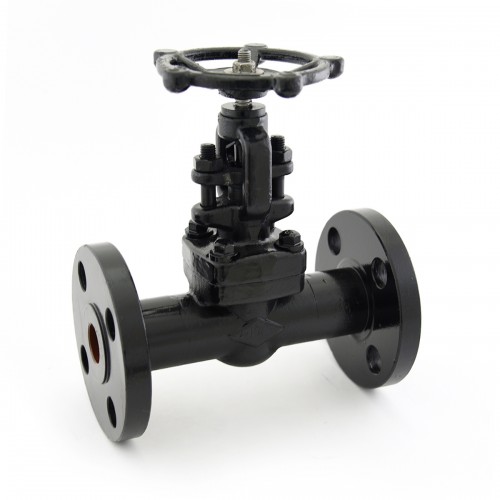 AV-313 F.C.S. Globe Valve