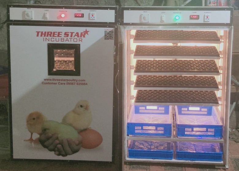 Commercial Hatchery Egg Incubator