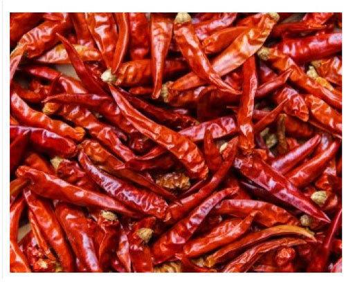 Dry Kashmiri Red Chilli, Packaging Size : 1 Kg
