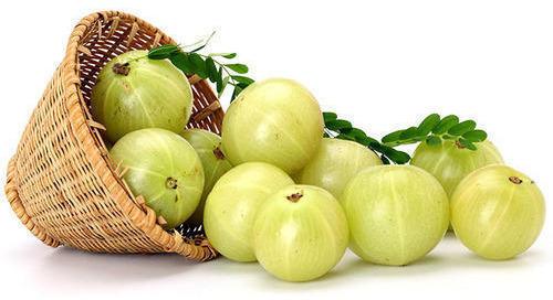 Fresh Amla, Color : Green