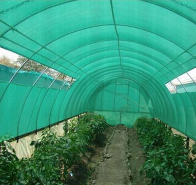 BIXXON Plain Nylon Agro Shade Net, Length : 20-30mtr