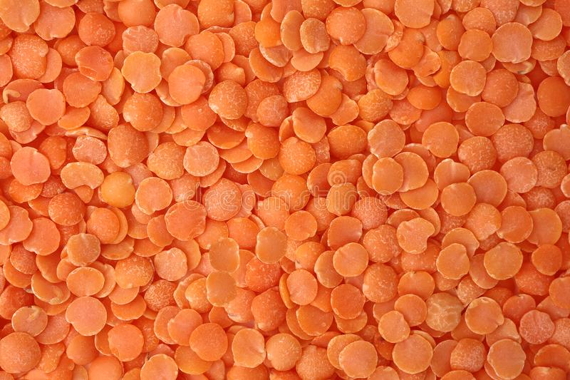 Natural masoor dal, for Cooking, Certification : FSSAI