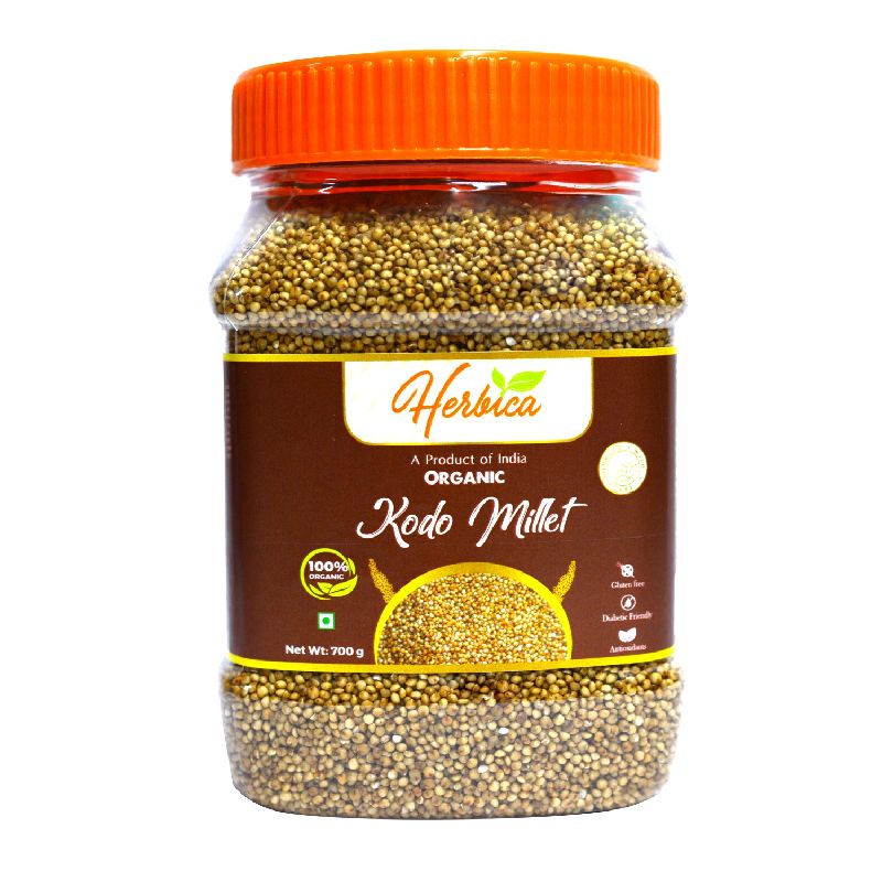 Fine Processed Organic Kodo Millet Seeds, for Human Consumption, Color : Natural