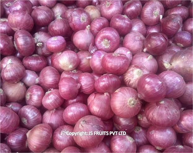 Organic Onion ( Kanda), for Cooking, Home, Hotels, Packaging Type : Tan