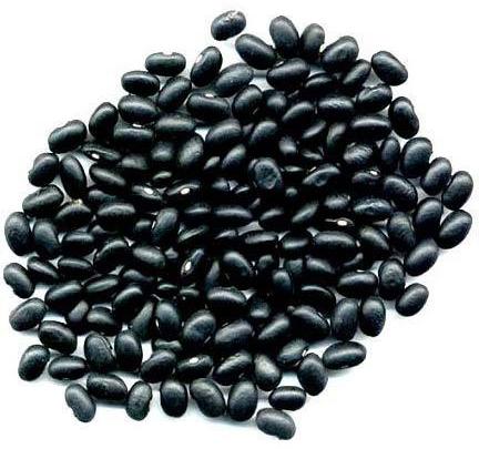 Black Beans, Certification : Import Certifications, FDA Certified, FSSAI Certified, ISO 9001:2008
