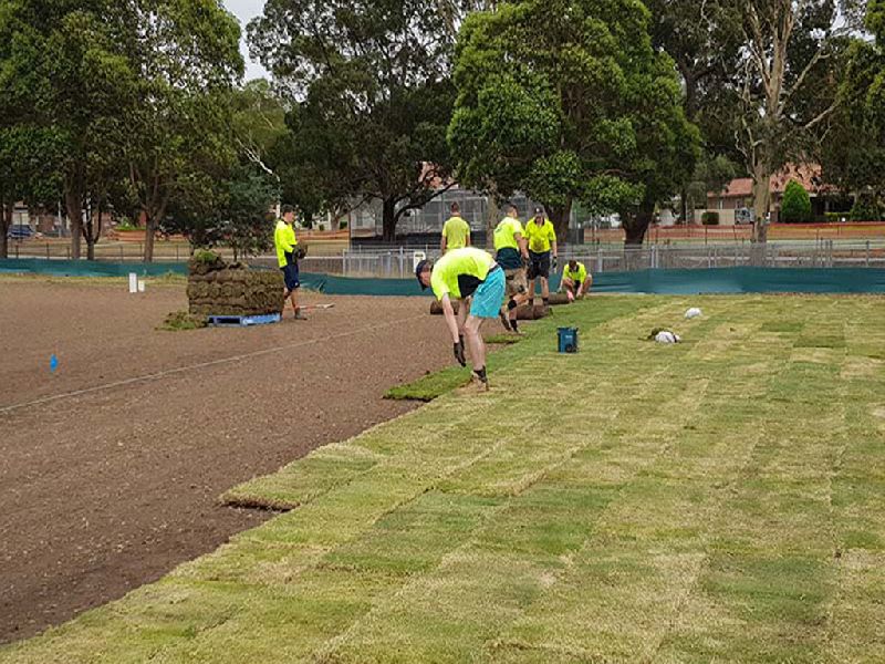 Sports Ground Ground Maintenance Services