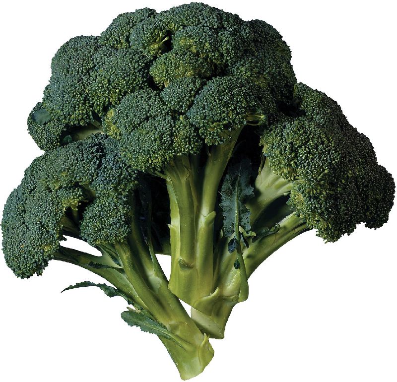 Natural Fresh Broccoli, for Cooking, Feature : Pure Hygienic
