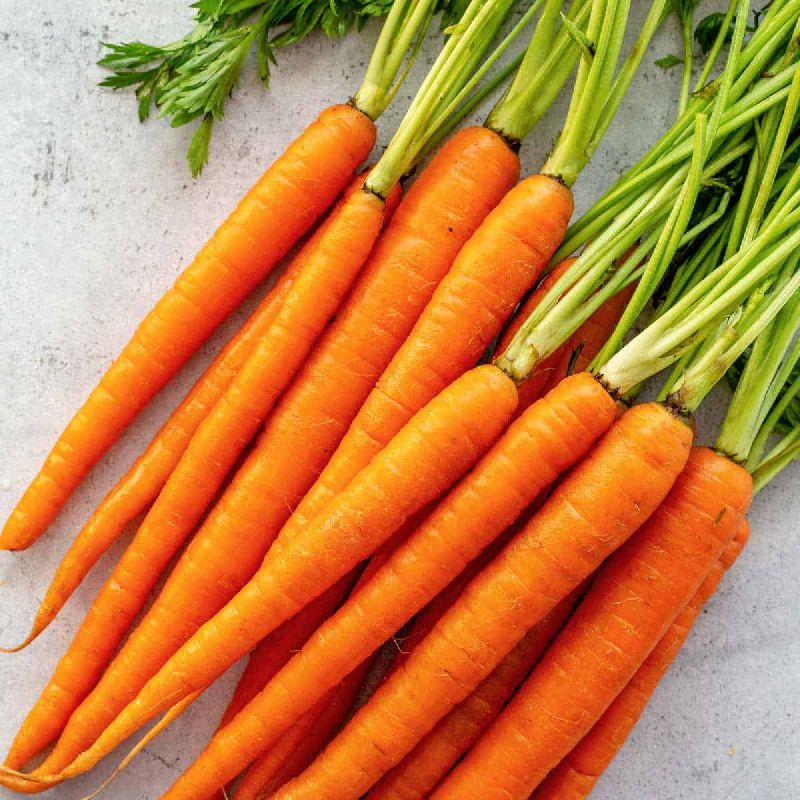 Natural Fresh Carrot, for Food, Taste : Sweet