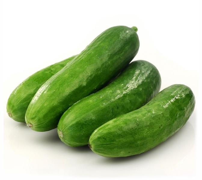 Common Fresh Cucumber,fresh cucumber, for Human Consumption, Color : Dark Green