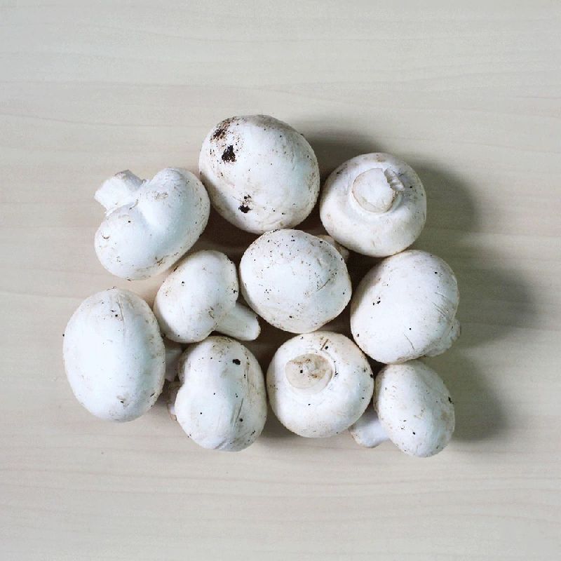Common Fresh Mushroom, for Cooking, Color : Creamy