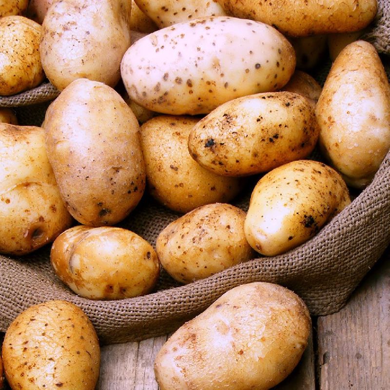 Round Common fresh potato, for Human Consumption, Color : Brown