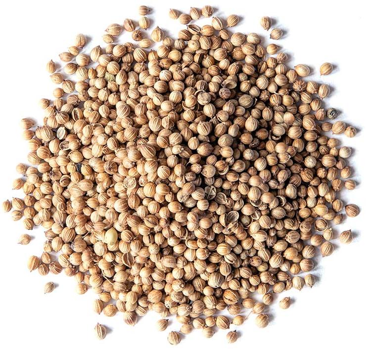 Natural coriander seeds, Certification : FSSAI Certified
