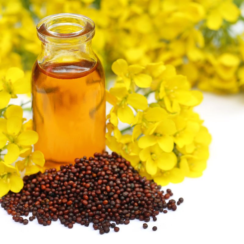 high quality mustard oil 100% pure