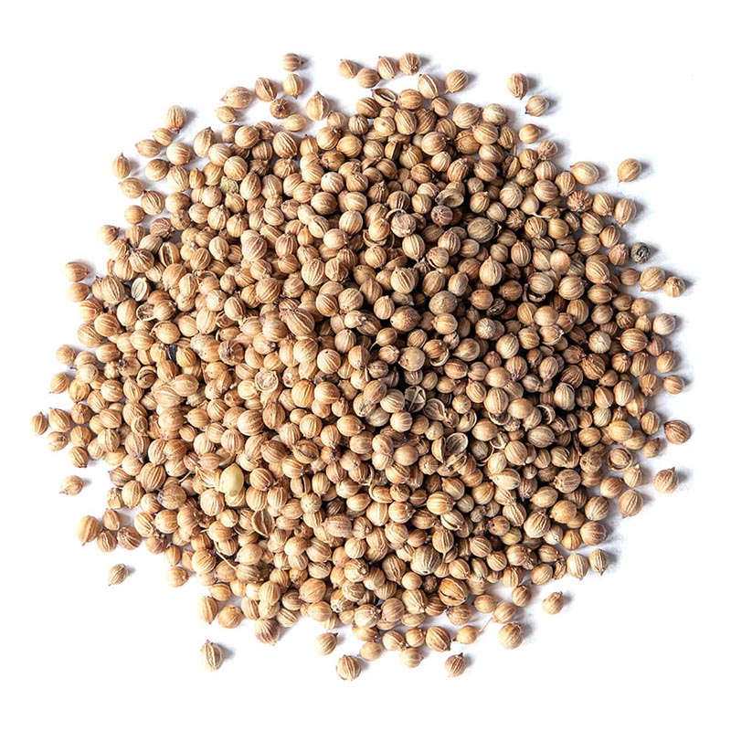 Natural coriander seeds, for Cooking, Certification : FSSAI Certified