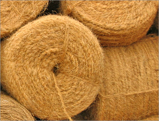 Double Twist Coir Rope,coir rope, for Rescue Operation, Marine, Packaging Type : Roll