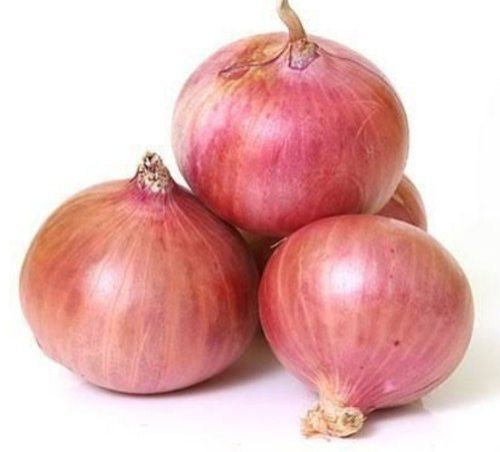 fresh onion