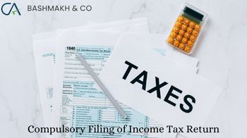 Income tax return filing