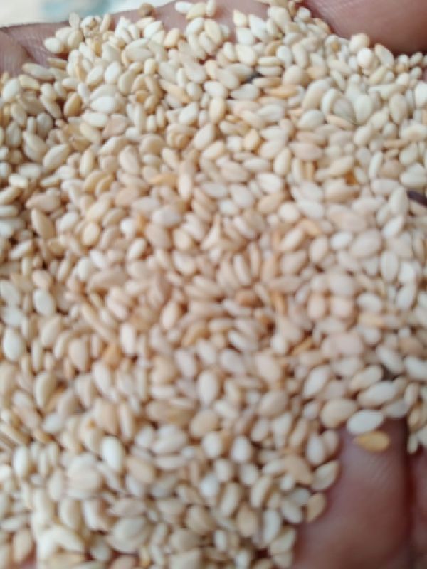 Sesam seeds