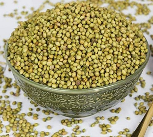 Green Coriander Seeds