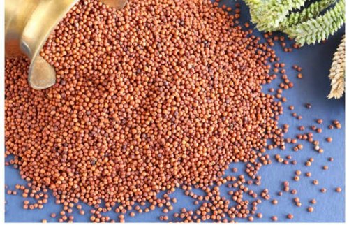 Organic Red Ragi Seed, for Food