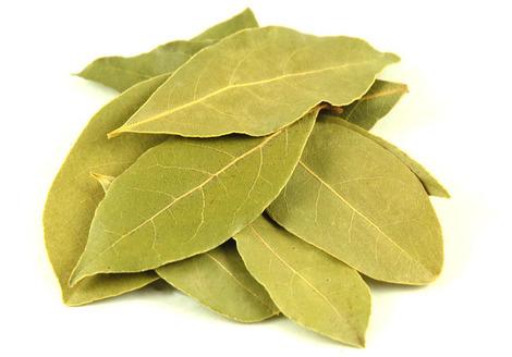 Bay Leaf, Packaging Type : Vacuum Packed