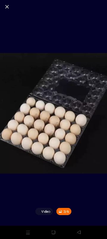 30 eggs blister plastic tray