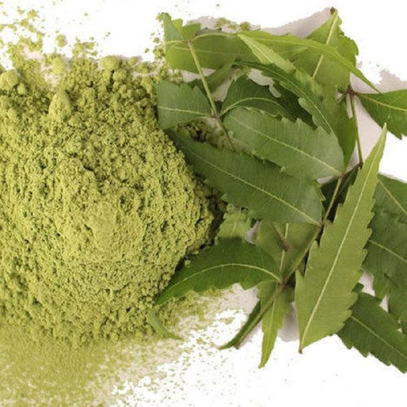 neem leaves powder