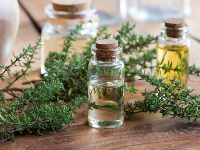 Thyme Essential Oil, for Medicines, Certification : FSSAI