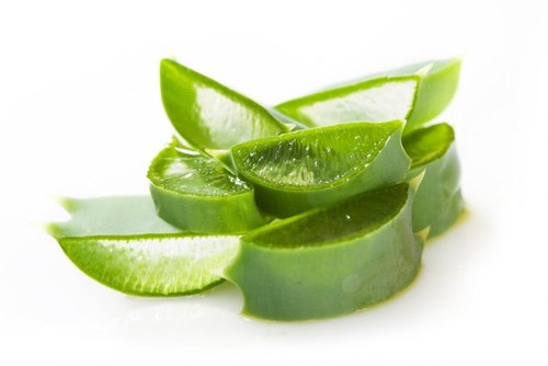 Aloe Vera Extract, Shelf Life : 2 Year