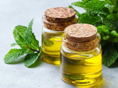Mentha Oil, for Pharma, Painrelief, Cosmatics, Packaging Size : 25kg