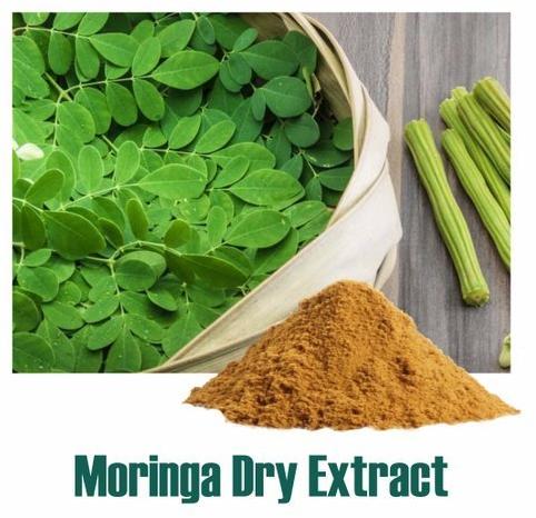 Moringa Dry Extracts