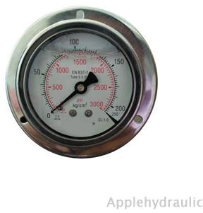 hydraulic pressure gauge