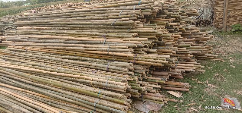 10 Feet Bijli Bamboo