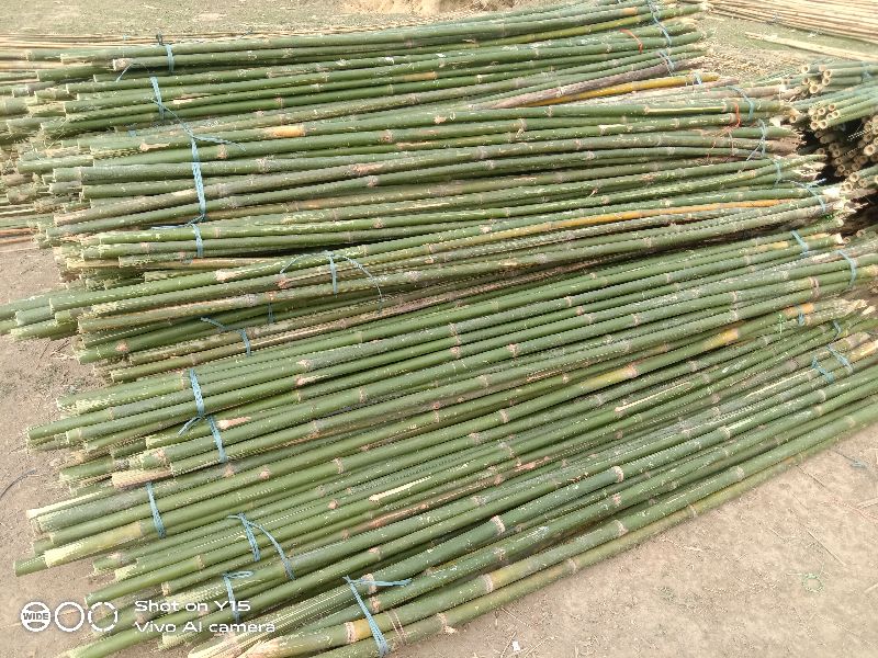 12 Feet Bijli Bamboo, for Construction, Feature : Good Quality