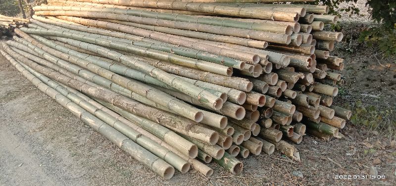 7 Feet Bijli Bamboo, for Construction, Feature : Good Quality