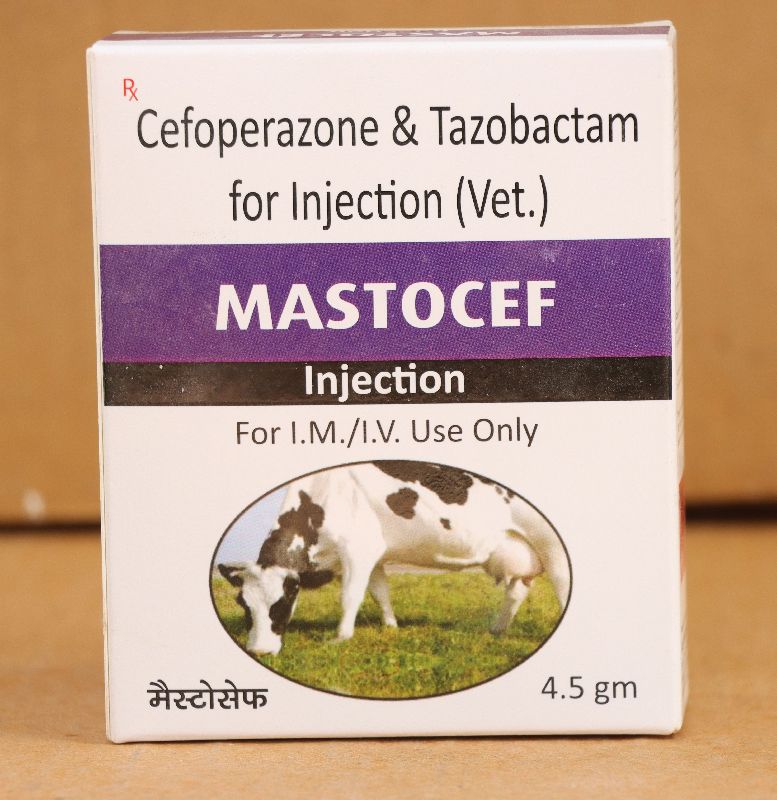 Mastocef Veterinary Injection, Packaging Size : 4.5gm