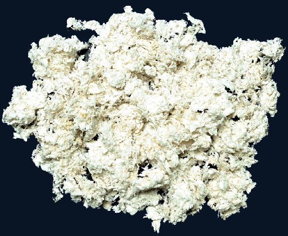 Bleached Cotton Linter, Purity : 99% Purity