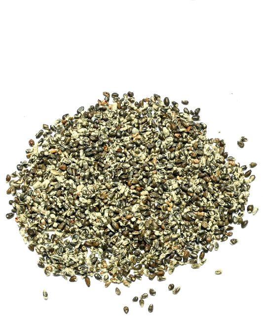 Gay Chhap Delinted Cottonseed at Best Price in Mahesana Narmada