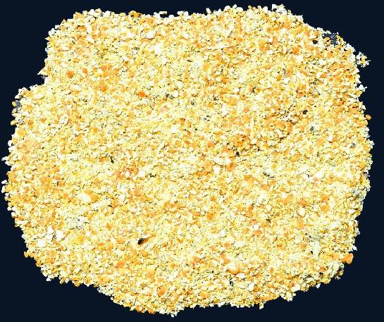 Gay Chhap Organic Maize Meal, for Cattle Feeds, Color : Yellow
