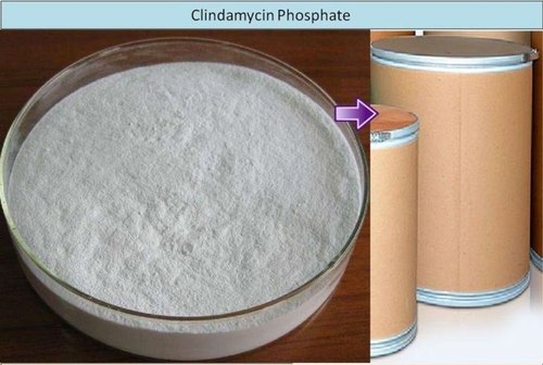 Clindamycin Phosphate Powder