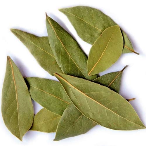 Bay Leaves, Color : Green
