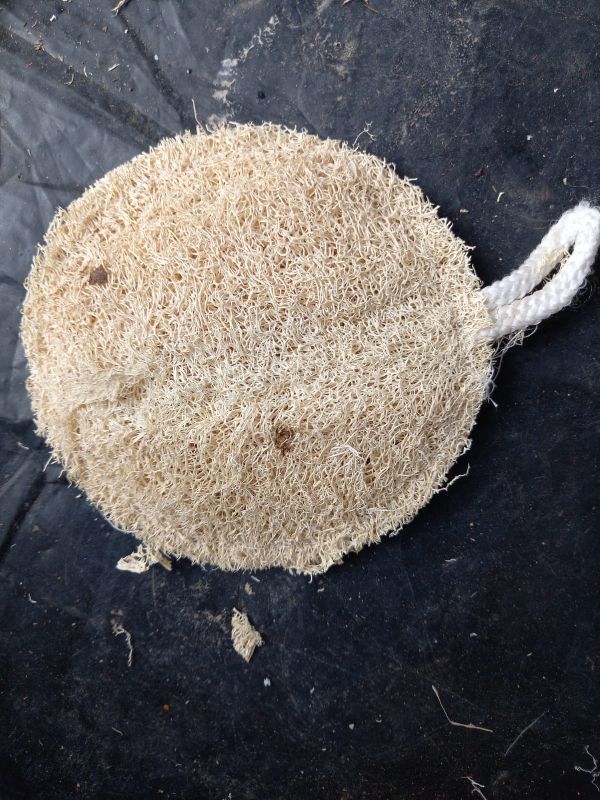 Circle Loofah Sponge