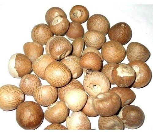 Organic betel nuts, Health Benefits : Anti-cavity Effect, Dry Mouth Relief, Prevents Anemia, Schizophrenia