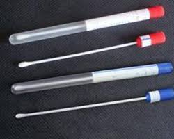 Cotton SWAB STICK, for Laboratory, Feature : Disposable