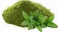 MINT LEAVES POWDER