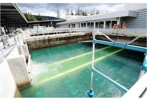 Raw Water Treatment Plant, Capacity : 1000 liters per hour